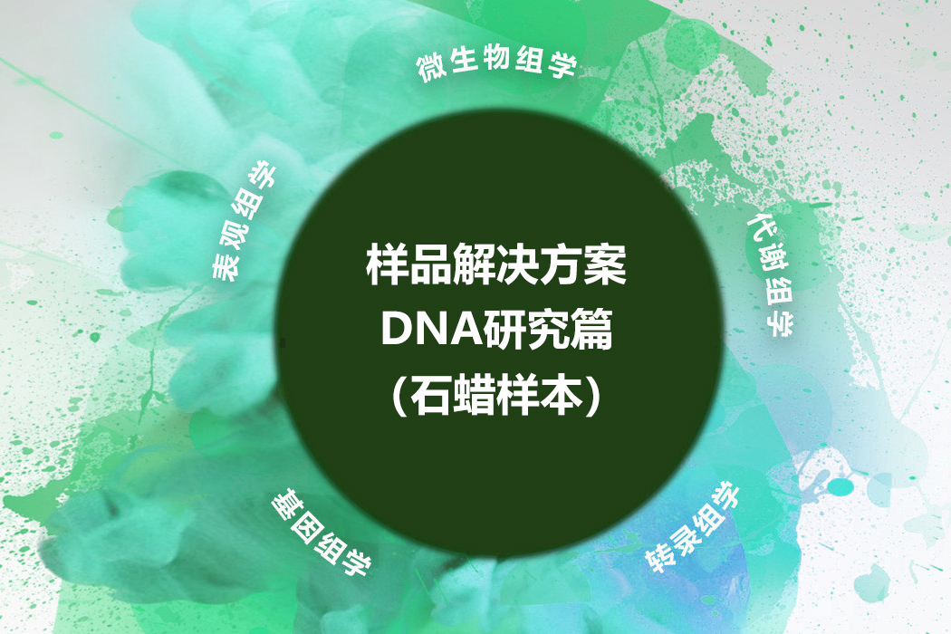 DNA研究篇（石蜡样本）