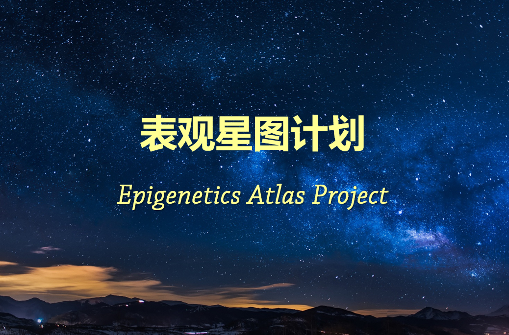 2019年1月25日：表观星图计划（2019）— WGBS分子标记合作研究者计划