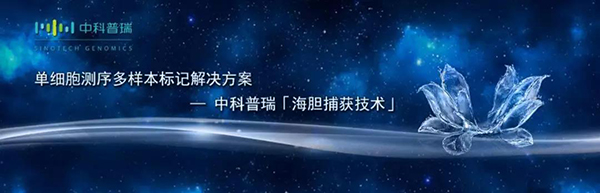 中科普瑞推出『海胆捕获』多样本标记单细胞RNA测序技术