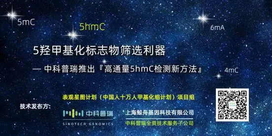 表观星图计划 | 高通量5hmC甲基化标志物筛选新技术