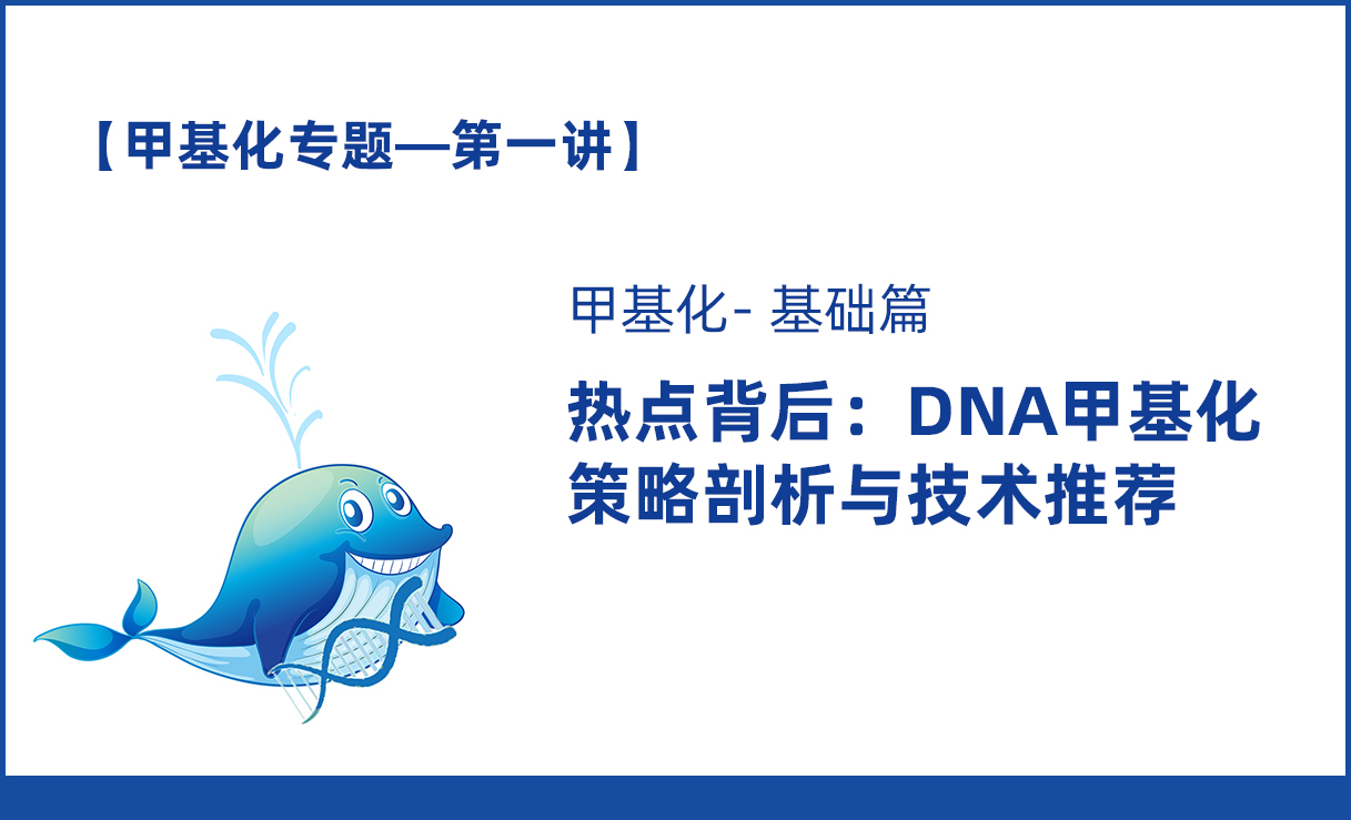 【2020甲基化专题】第一讲：DNA甲基化的策略剖析与技术推荐