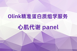 心肌代谢 panel.jpg