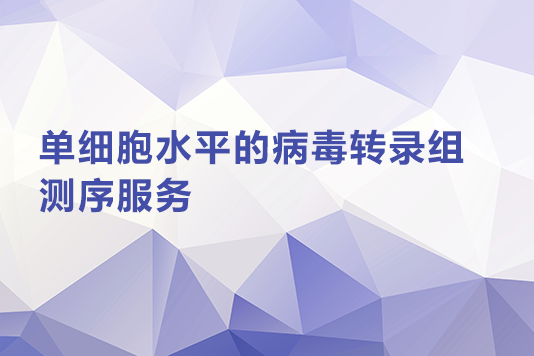 单细胞水平的病毒转录组测序服务