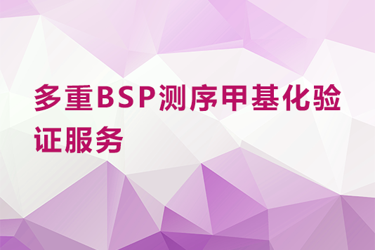 多重BSP测序甲基化验证服务