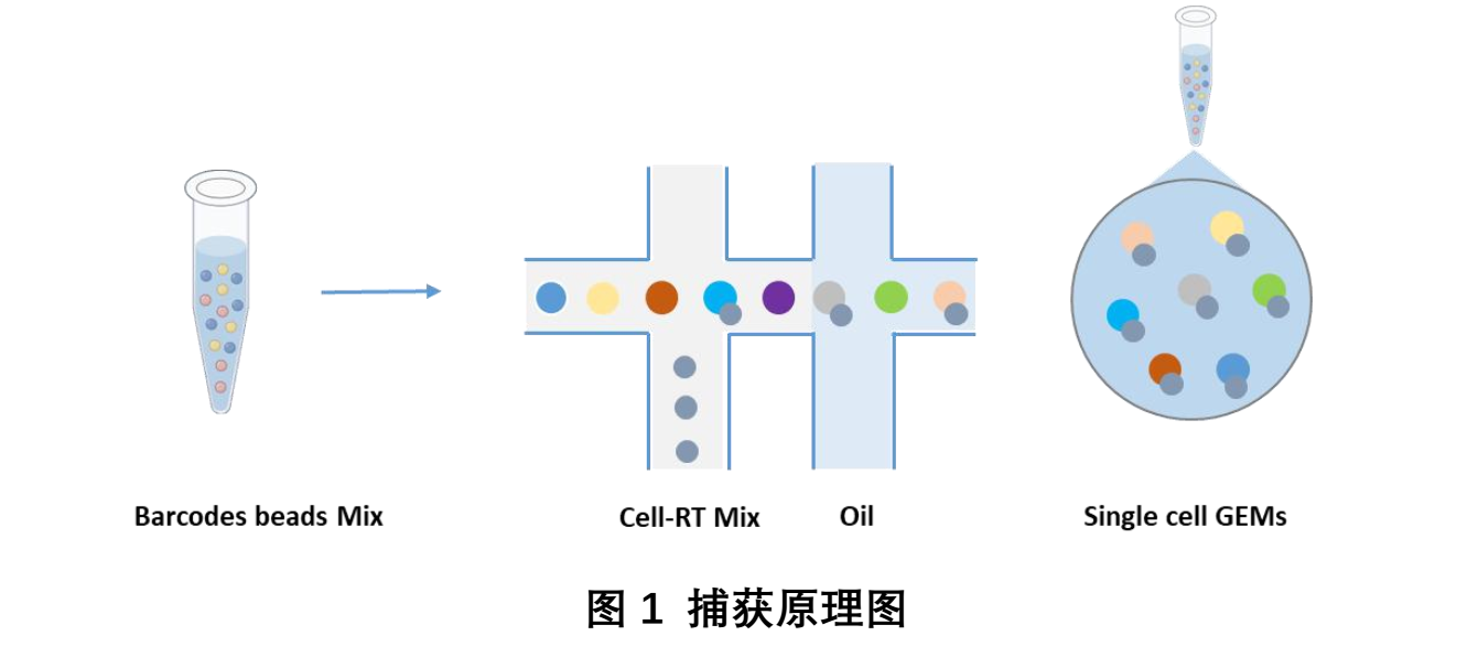 17581838211196.png ae3bddaca4c4ae92c32a0483dcd295ad.png